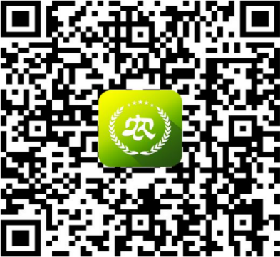 1625127287465388.png